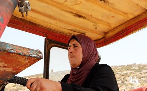 خُطى فاطمة على أرض ينهشها الاستيطان